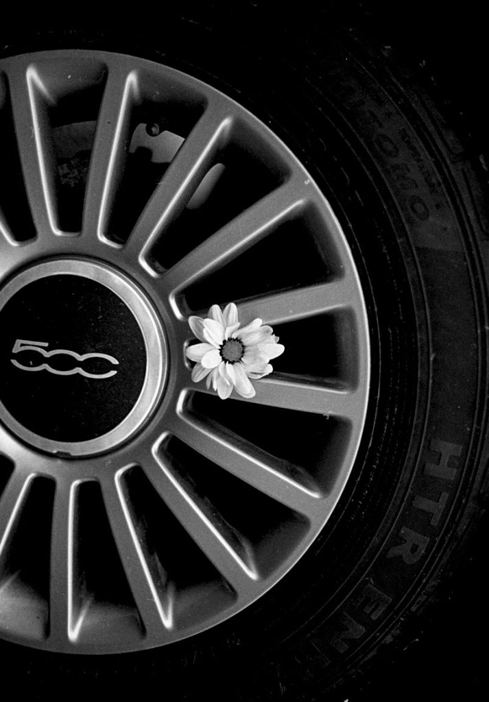 film photograph of a white flower peeking out of a large car tire