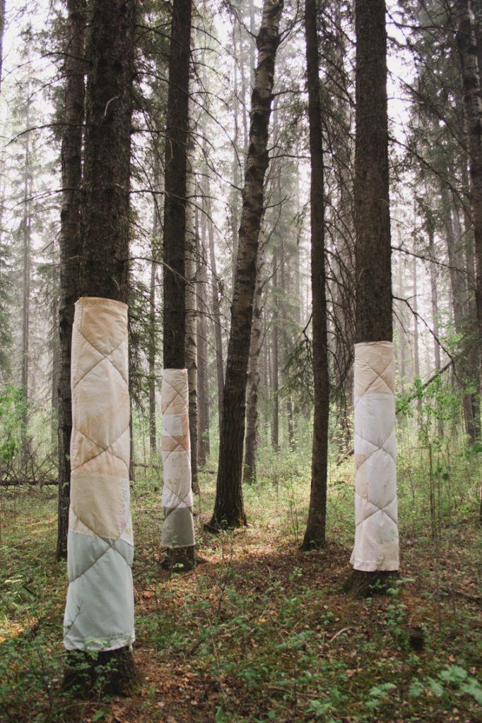 A photograph of a forest with three trees in the foreground draped with handmade patchwork blankets.