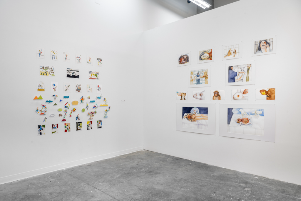Installation view of many small wall mounted artifacts and illustrations