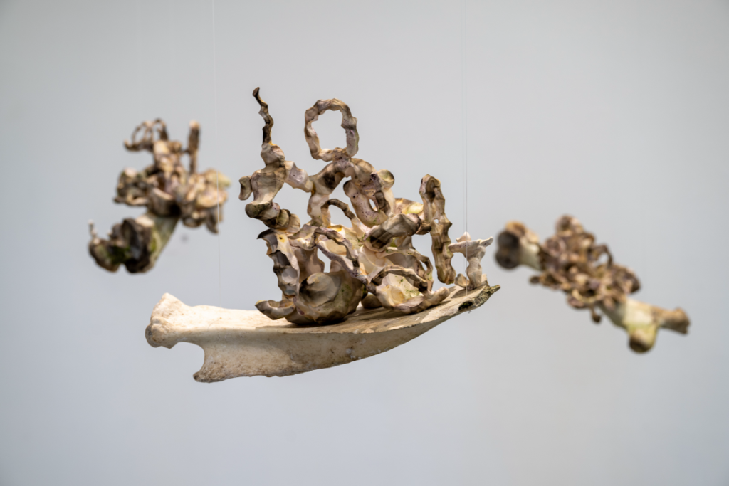 A hanging sculpture of 3 complex, intertwined shapes, each mounted on a bone or bone fragment.